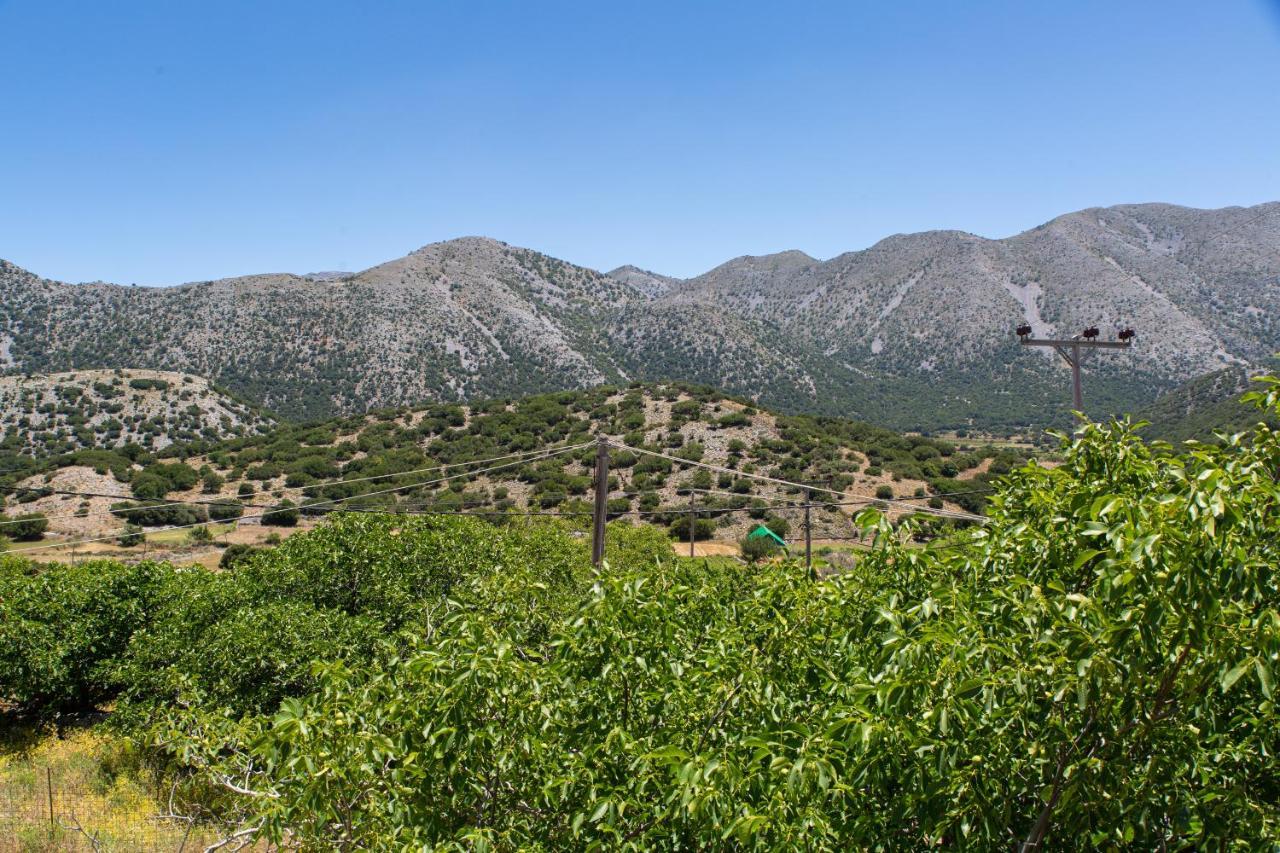 Ammoudari Villa Skyphos מראה חיצוני תמונה